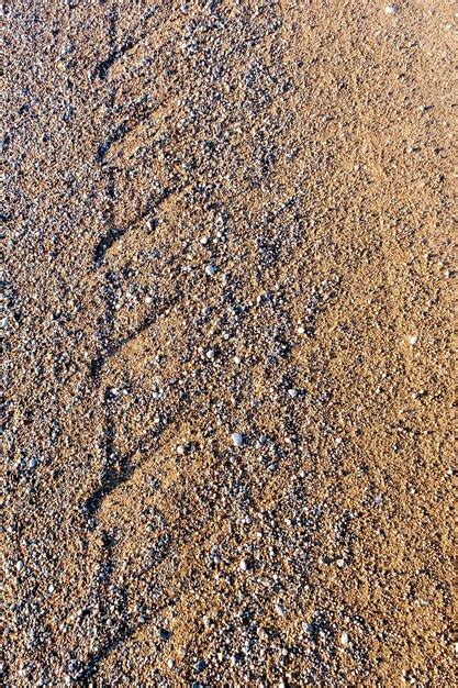 Premium Photo | Car tracks on a dirt road