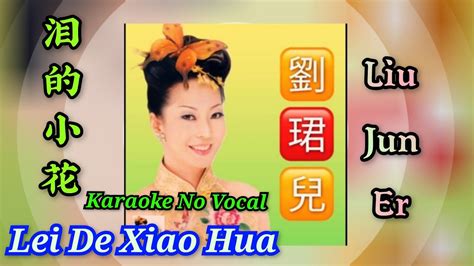 Lei De Xiao Hua Karaoke No Vocal Liu Jun Er Female Youtube