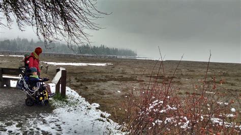 Theler Wetlands Nature Preserve Rolling Washington