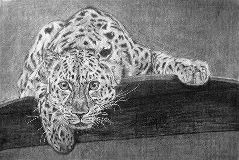 Amur Paintings Search Result At