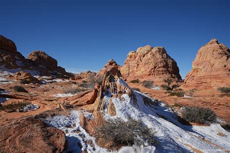 Cottonwood Cove At Coyote Buttes South Jaegers Blog