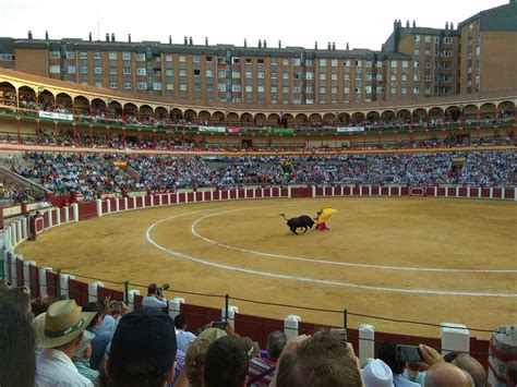 Las plazas de toros pueden abrir con un aforo máximo de un tercio y