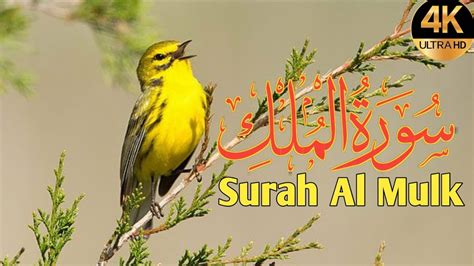 Surah Al Mulk Full With Arabic Text Hd سورةالملك