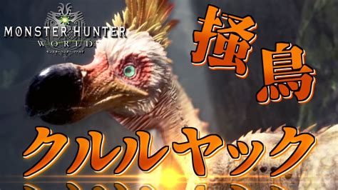 【mhw】今さら始める新大陸での狩猟生活 ～3狩目～【ゆっくり実況】 Youtube