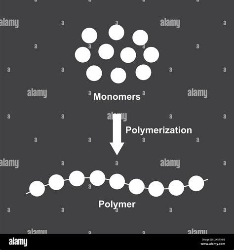 Conception Scientifique De La R Action De Polym Risation Conversion