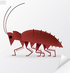 Diagram Showing Life Cycle Cockroach Royalty Free Vector