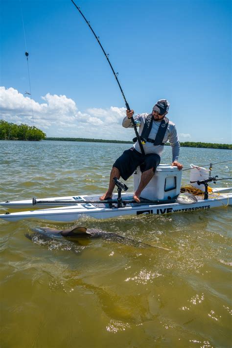 Jack Tarpon Fishing Art On Twitter Rt Flsportfishing Interested In