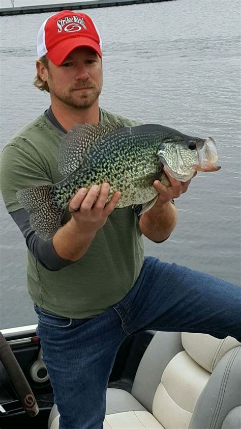 Pending New Illinois Black Crappie Caught Wide Open Spaces