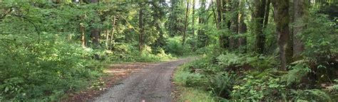 Squak Mountain Road Southeast To May Valley Loop Trail Washington