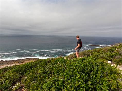 Robberg Hiking Trail – Garden Route Adventure Guide