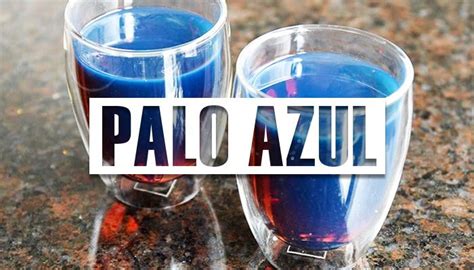 ¿para Que Sirve El Palo Azul Propiedades Y Beneficios