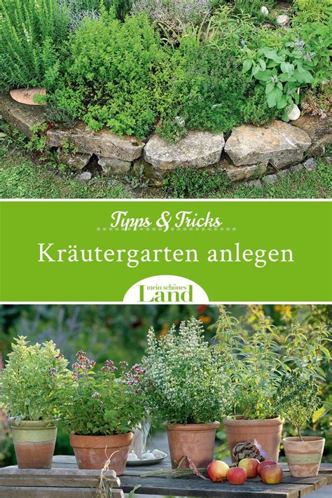 Tipps Und Tricks F R Deinen Kr Utergarten Kr Utergarten Anlegen