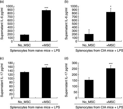 Addition Of Flk 1 Mesenchymal Stem Cells Mscs To Splenocyte Cultures