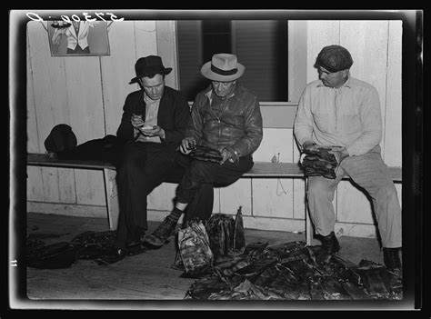 trapper images   png stickers wallpapers backgrounds