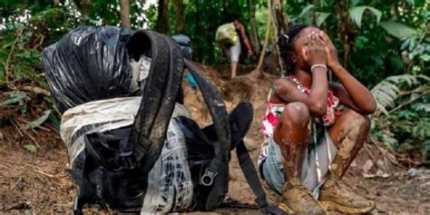 M S De Mil Venezolanos Han Cruzado La Selva De Dari N Durante