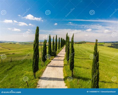 Beautiful Landscape Scenery of Tuscany in Italy - Cypress Trees Along White Road - Aerial View ...