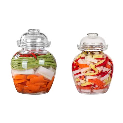 Buy Aosnttol Pickle Jar Fermentation Jar Fermentation Kit With Water