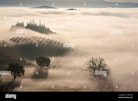 Beautiful Foggy Sunrise In Tuscany Italy With Vineyard And Trees