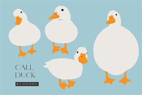 Premium Vector Call Duck Illustration