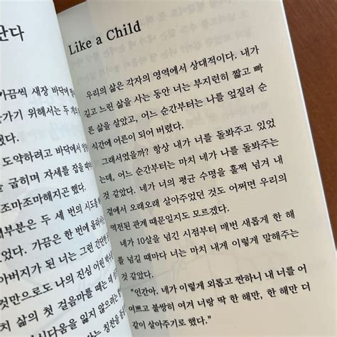 반려조를 떠나보내고 쓴 펫로스pet Loss 기록 13년간 함께 생활한 반려조와의 첫만남 일상의 즐거움 이별의 순간