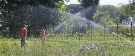 Home Moestuin Leyduin