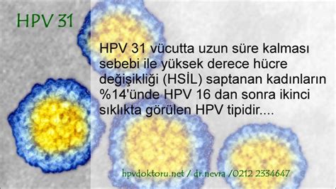 Hpv Zellikleri Hpv Tip Tedavisi Hpv Pozitif Nedir Ketem