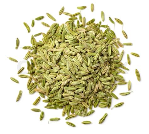 dried fennel seeds isolated on white | Stock image | Colourbox