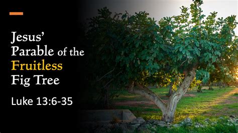 Jesus’ Parable Of The Fruitless Fig Tree Luke 13 6 35 The Gospel Of Luke ‹ Anderson Church