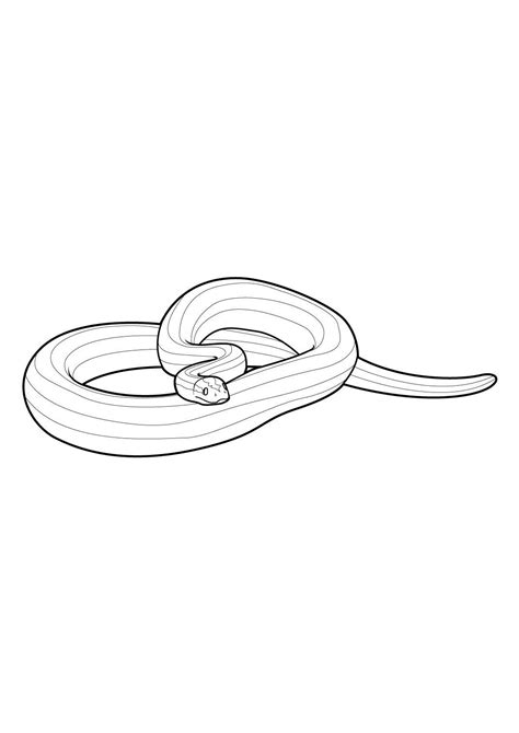 Serpent Coloriages Animaux Serpents