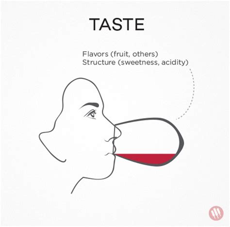 How To Taste Wine And Develop Your Palate Wine Folly