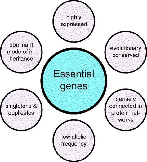 General Characteristics Of Essential Genes General Characteristics Of