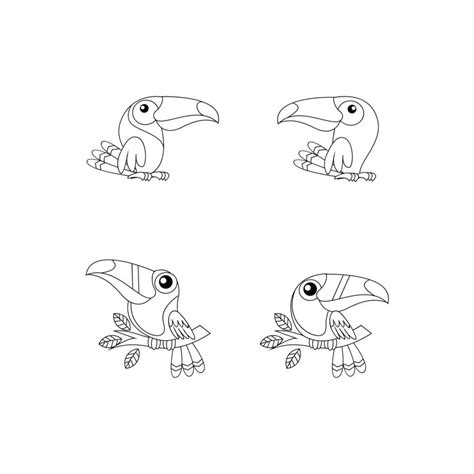 toucan bird drawing line cute black white illustration set collection 36176989 Vector Art at ...