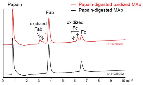 Biopro Hic Bf Hydrophobic Interaction Chromatography Column Product