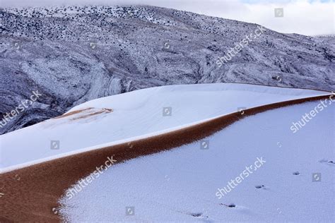 Snow Sahara Desert Editorial Stock Photo - Stock Image | Shutterstock