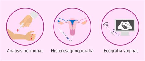 ¿en Qué Consisten Las Pruebas Básicas De Fertilidad Femenina