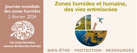 Journ E Mondiale Des Zones Humides Education Au D Veloppement