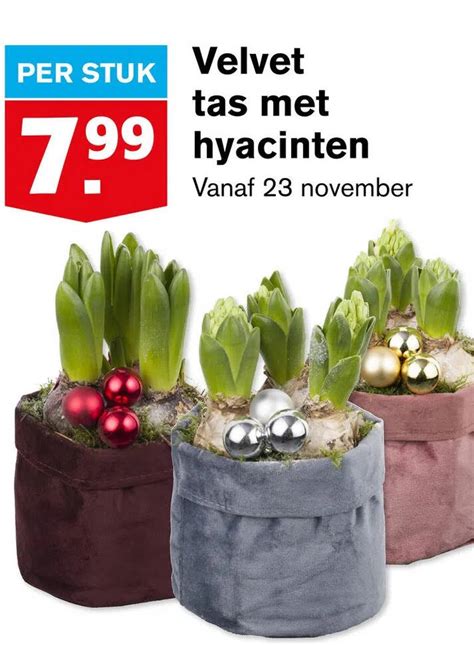 Velvet Tas Met Hyacinten Aanbieding Bij Hoogvliet