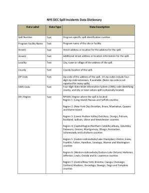 Fillable Online Spill Incidents In New York State Data Dictionary