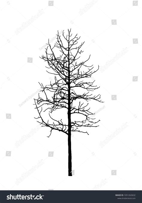 Tree Silhouette Brush Photoshop Stock Illustration 1051263632 ...