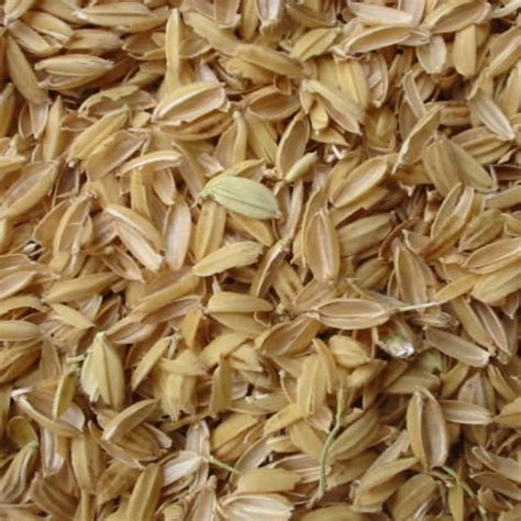 Original Farm Fresh Rice Husk Paddy Husk Rice Hulls Pure And Organic