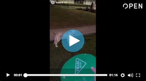 Fedez Il Filmato Con Il Cane E Il Frisbee Per Rompere Il Silenzio