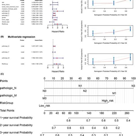 Construction And Validation Of The Nomogram Model A And B