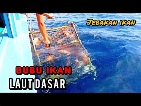 Kerja Harian Tarik Bubu Ikan Laut Dasar YouTube