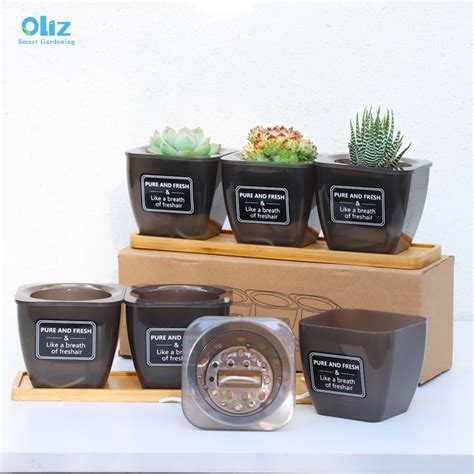 Indoor Self Watering Planter Set Cup Shape Flowerpot Oliz Oem