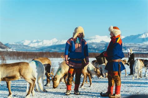 Explore Sami Culture in Tromsø | Heritage & Traditions