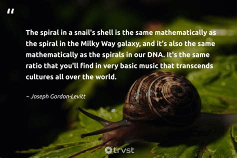 14 Snail Quotes For the Slow Take on Life