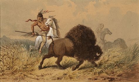 Buffalo Hunt Zaplin Lampert