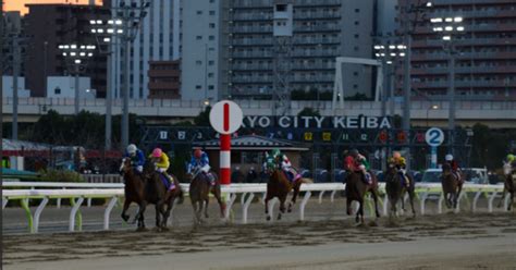 【大井👊波乱の穴馬勝負🏇🔥勝負レース👊🔥】122（月）【2r】北沢川賞（発走時刻1235）｜さやだま