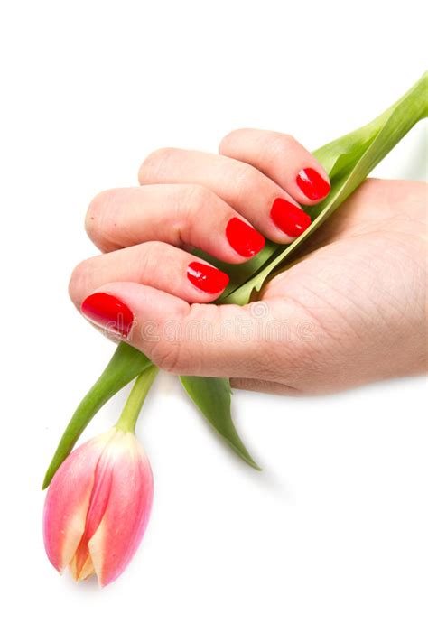 Woman Hands With Red Manicure Stock Photo Image Of Body Manicure