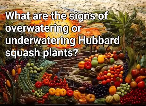 What Are The Signs Of Overwatering Or Underwatering Hubbard Squash Plants Agriculture Gov Capital